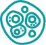 proliferation icon